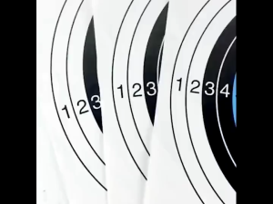 20pcs Standard Archery Targets Paper For Archery Practice Target / 10 Ring Arrow Target Target Paper
