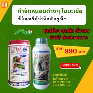 กำจัดหนอน ใน ต้นมะเขือ และพืชทุกชนิด เป็นสารชีวภาพปลอดภัย ปลอดสารพิษ ไอกี้-บีที และ FK-T(ใช้ได้ทุกพืช)โดย FK