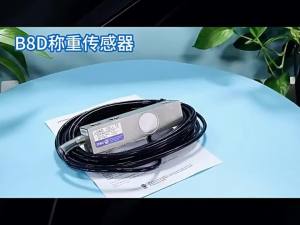 B8D High Precision Load Cell Stainless Steel Weighing Sensor