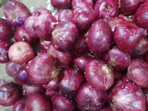 Bawang Merah India / Bawang Peking 1 Kg