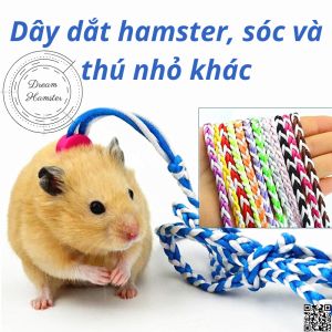 Dây dắt hamster sóc và thú nhỏ khác