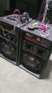 AC 220V 12V 24V Subwoofer Dual Microphone HiFi Bass Power Amp FM Radio Stereo Digital Bluetooth 5.0