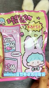 TOPTOY Line Friends Z ZOTON Shop Mini Pain Pack Vinyl Blind Box