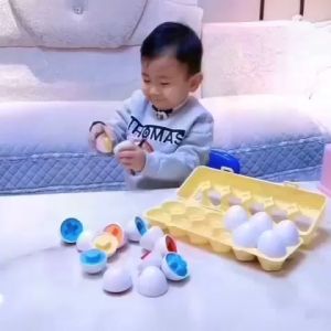 GU Matching Egg 12pcs Egg Shape Puzzle Telur 12pcs Geometri Mencocokkan Bentuk Telur