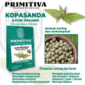 Pil Kopasanda Herbal 100% High Quality - Organik - Pill Tablet Siam Weed Leaf