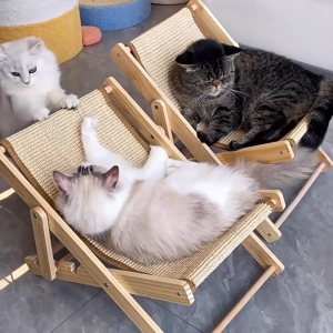 Sisal Cat Chair for Sunbathing Adjustable Wooden Cat Lounge Chair 4 Height Beach Kitty Hammock Bed Indoor Outdoor Lounging Scratching Furniture for Kitten Puppy Bunny
