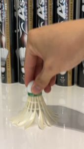 Badminton Shuttlecock | Shuttlecocks | Astar | 12pcs per tube | Bulu Tangkis | Training | Beginner 4STAR Grade