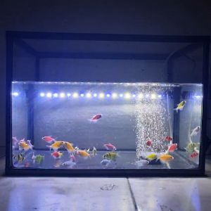 Lampu LED Celup 3 Mode Aquarium T4 Rosston Day & Night view 20 30 40 50 60 cm