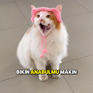 Pororo - Topi Rajut  Handmade Kucing Murah Lucu Aksesoris Hewan