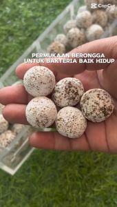 KnD Aquarium Large Bio Sphere Ball Nano Fish Filter Media Bio Ball Bacteria Ball