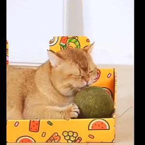 10cm Large Cat Catnip Ball Cat Mint Chew Toy Cat Snacks Treats Catmint Mainan Makanan Kucing 猫薄荷球