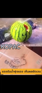 ฉีดน้ำแรงดันสูงและสูง มากของ MAKITA 209V ล้าง รวมโครงสร้างกับความสะอาดต่างๆ