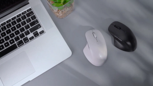 Rapoo M50 PLUS Wireless Optical Mouse (Black)