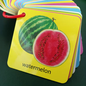 Baby Identifying Objects through Graph Early Education Perception Card Fruit and Vegetable Kindergarten Literacy Baby Children Enlightenment Learning Toys