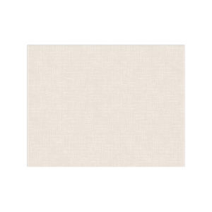 Ultra-thin Non-sticking Door Mat Carpet 1mm