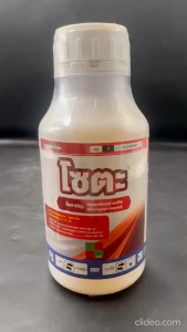 โซตะ ขนาด 500 ซีซี ฟลูรอกซีเพอร์-เมปทิล สตาร์เรน สารกำจัดวัชพืชใบกว้าง เครือเถา ไม่มีผลต่อข้าวโพด ยาทาตอ ตอไม้ กระถิน ผักบุ้ง หญ้ายาง ในข้าวโพด อ้อย นา ปาล์ม ยางพารา npkplant