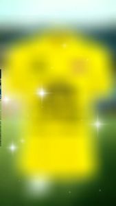 2 เสื้อกีฬา เสื้อบอล เสื้อกีฬาชาย PM สกรีนช้าง - ชุดเสื้อผ้าแฟชั่นเสื้อกีฬาชาย PM สกรีนช้าง