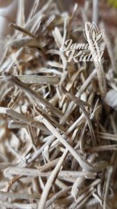 Pulosari 50gr / Pulowaras / Pulasari / Pulawaras Grade A