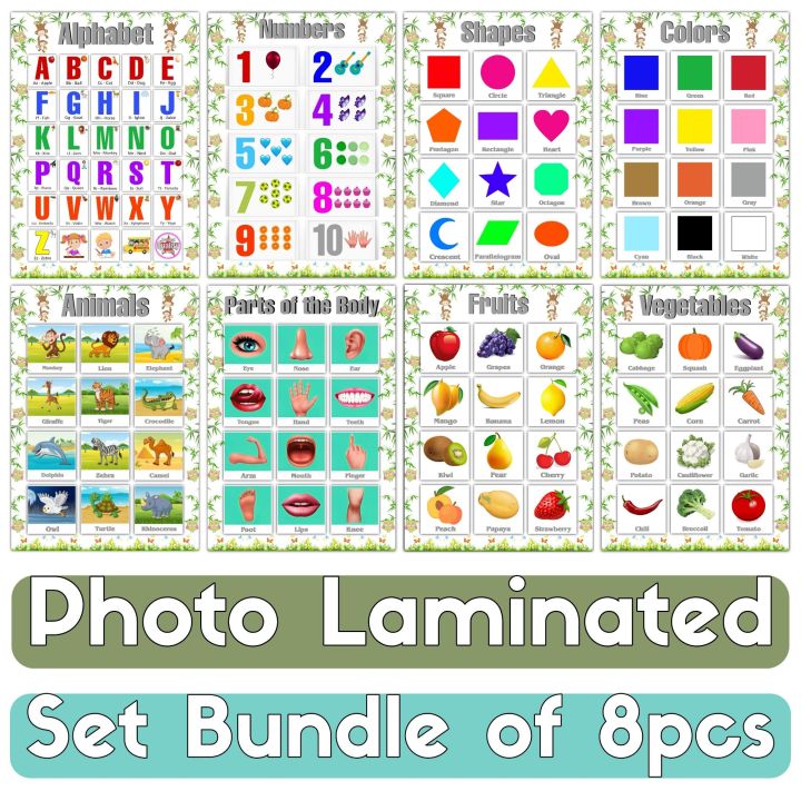 Educational Chart for Kids Bundle of 8pcs Laminated | Lazada PH