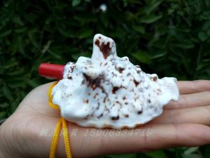 นกหวีดหอยสังข์ขนาดใหญ่ตามธรรมชาติแตรเป่าเปลือกหอยงานฝีมือของเล่นสร้างสรรค์ของขวัญเด็กเครื่องประดับเป่าได้