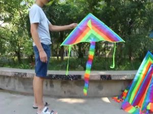 Weifang Kite Wholesale Triangle Rainbow Easy to Fly Paw Patrol Childrens Cartoon Long Tail Bright Cloth Colorful Ribbon Kite