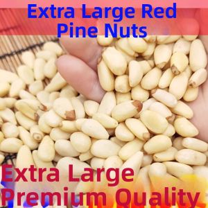 Fresh Natural Flavor Pine Nuts 500g