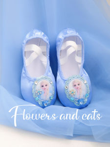 Princess Elsa Dance Shoes Womens Soft Bottom Classical Childrens Ballet Shoes Blue Floral Cats Brand Sport Fitness Fans Goods