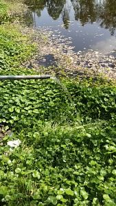 ชุดสูบน้ำบาดาลโซล่าเซลล์ 1100 วัตต์