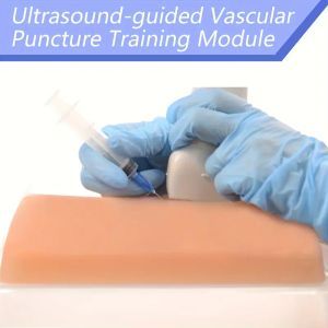 โมดูลการฝึกอบรมเจาะหลอดเลือดอัลตราซาวด์นำทางด้วยเรือจำลอง2ลำขนาด6มม. และ8มม. วัสดุ TPE ภาษาอังกฤษสำหรับการฝึกใช้เทคนิคการเจาะแบบอัลตราซาวนด์และแบบหลอดเลือดดำ