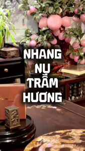 Nhang Nụ Trầm Hương Đông Minh Loại Dịu Hương Nhang Sạch Thuần Tự Nhiên