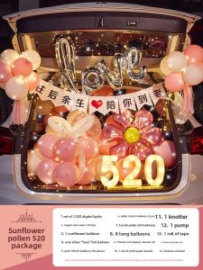 No Brand | Proposal Romantic Party Scene Decoration