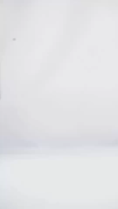 JIMS HONEY - JHW 36 - Jam Tangan Pria