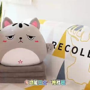 Taii 3 in 1 Hand Warmer Pillow With Blanket Multifunction Cartoon Pillow With Travel Blanket(1X1.6M)