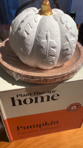 PLANT THERPY Pumpkin Passive Diffuser
