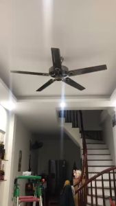 Quạt Trần Không Đèn Động Cơ DC 6 SỐ Lõi Đồng Có Điều Khiển Từ Xa 2 Chiều Gió Hút Ẩm Mùa Đông Phù Hợp Mọi Không Gian Tặng Kèm Móc[ BH 5 Năm ]