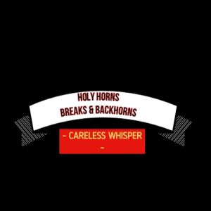 CARELESS WHISPER Backhorn | Breakhorn 12-24v (for all vehicles)