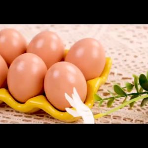 Plastic Fake Eggs 20Pcs Artificial Simulation Eggs for Chicken Poultry Nesting Box Farm Training Decor