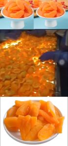 1 MIẾNG ĐÀO SẤY DẺO TRÁI CÂY SẤY DẺO TỰ NHIÊN THƠM Ăn Vặt Food Thức Ăn Snack