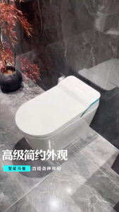 Smart toilets feature zero water pressure automatic lid closing voice control and UV protection.