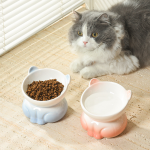 Ceramic Cat Bowl Tilted Elevated Food Bowls Cute Cat Design Food Water Bowl