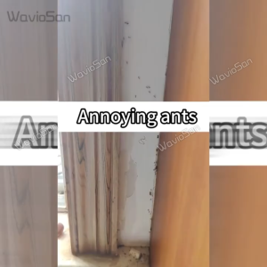 Kill all the ants in the house Ant killer Racun semut paling kuat Ubat semut paling kuat Ants killer bait Lure ants kill ants without harming pets Ant bait Ant repellent 蚂蚁药