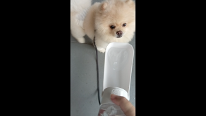 Dog Water Bottle Portable Foldable Drink Bottle 450 ml Pet Water Bottle