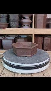 Chậu lục thấp tử sa cao cấp gốm tàu CPD1036 kích thước 18x7cm lọt lòng 15x5cm chậu bonsai mini màu nâu tử sa chậu bonsai để bàn.