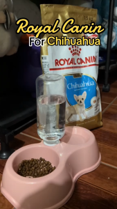 1.5kg Royal Canin Chihuahua Dog Dogs Dry Food All Stages Adult Puppy Pet Improved Digestive Comfort