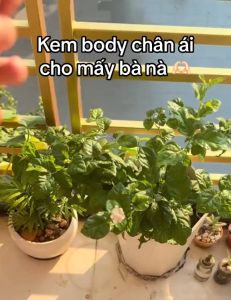 Kem Trắng Da Body Xu Ka X3 Chính Hãng 1 hộp 250gr