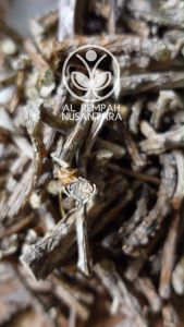 Brotowali Kering Murah 1kg - Asli Gunung Kidul