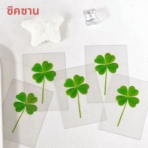 การ์ดโปสการ์ดรูปใบโคลเวอร์นำโชค 5/3/10 ชิ้น สีเขียวใส เหมาะสำหรับใช้เป็นที่คั่นหนังสือ ของตกแต่ง และเครื่องช่วยอ่านหนังสือ