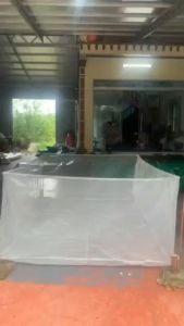 Tráng nuôi ốc - ếch - cá  chuyên nghiệp nhiều kích thước