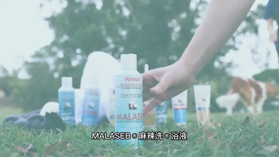 【Buy 4 free 1】Malaseb Shampoo for anti-fungal Shampoo for Dog and Cat 250ml Anti-Mite/Flea Anti-Tick Pet Fungus Shampoo