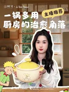 SHUEHO | Durable High Temperature Safe Cooking Pot for Soups and Stews Suitable for Gas Stoves